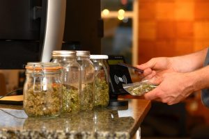 Recreational Dispensaries In New York