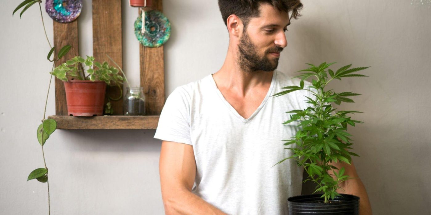 How Many Cannabis Plants Can You Grow Legally?