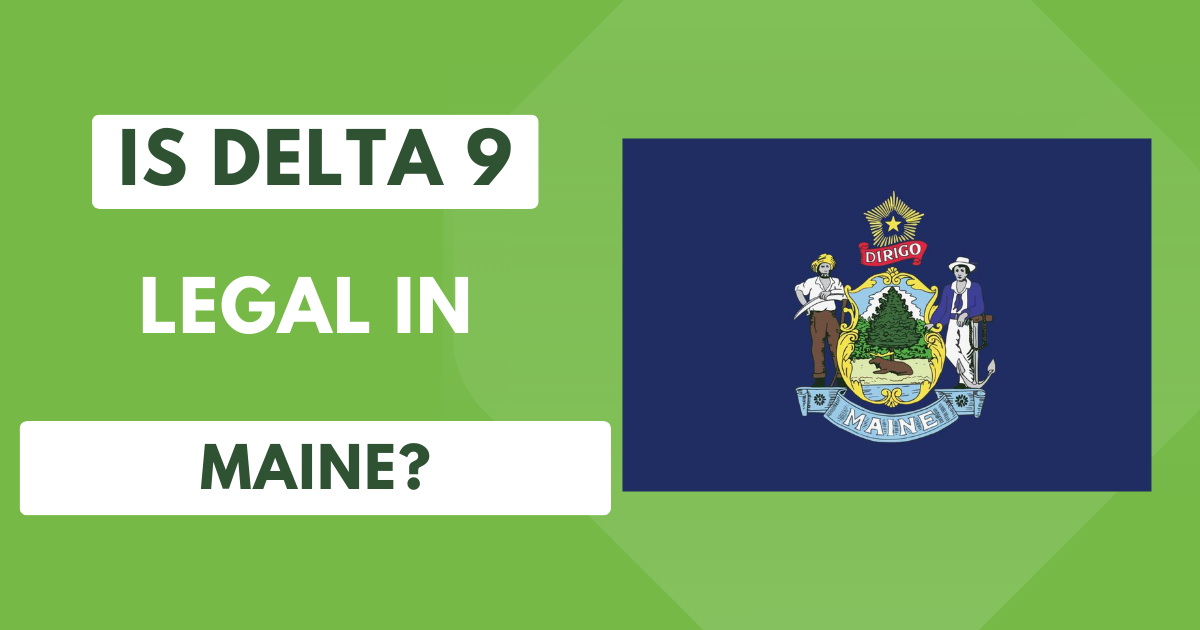 Is Delta 9 Legal in Maine?