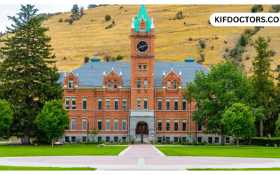 Is Weed Legal In Montana? Montana Marijuana Laws​