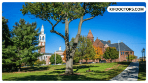 Benefits You Are Missing Without a Vermont MMJ Card
