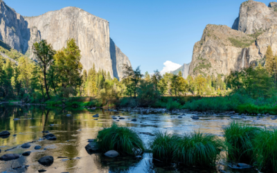How to Get a Medical Marijuana Card in Simi Valley, CA